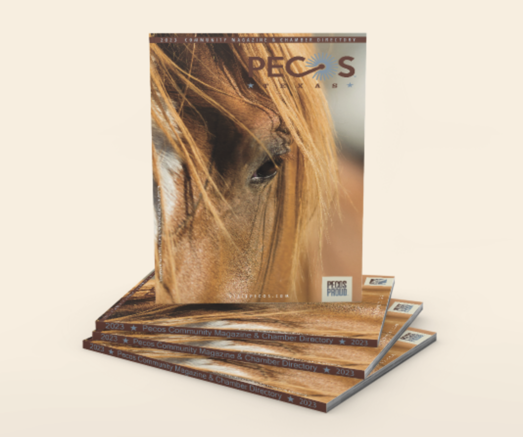 Stack of printed chamber guides created for community organizations